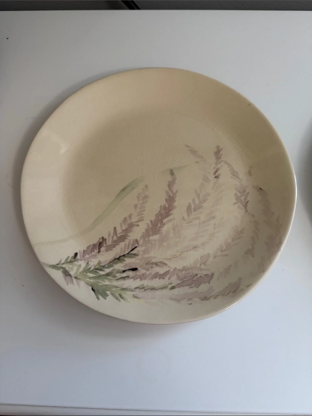 Crate&Barrel Cream Plate with Gold Band